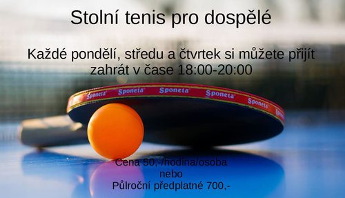 Stolní tenis pro dospělé Stolní tenis pro dospělé